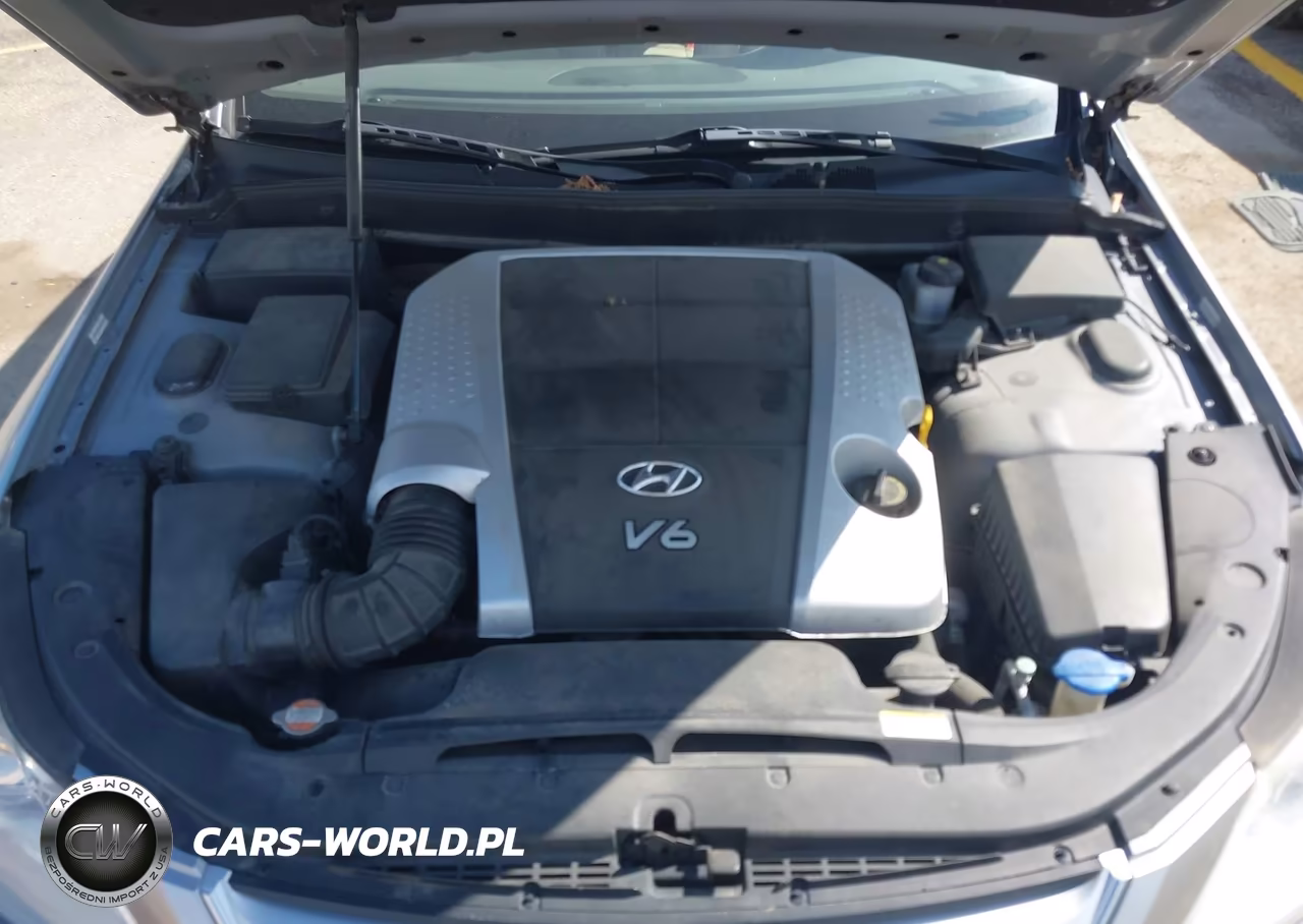 2009 Hyundai Genesis 3.8 VIN:KMHGC46E19U027175 - 10