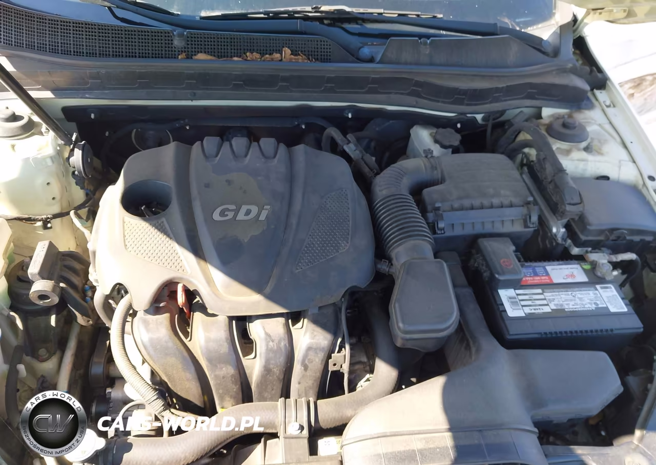 2013 Kia Optima Lx VIN:KNAGM4A75D5337811 - 10