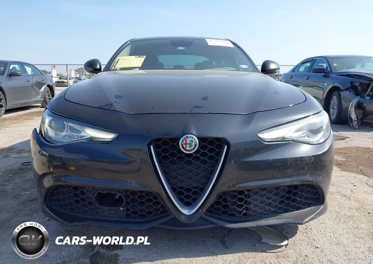 2017 Alfa Romeo Giulia Rwd VIN:ZARFAEBN8H7538628 - 11
