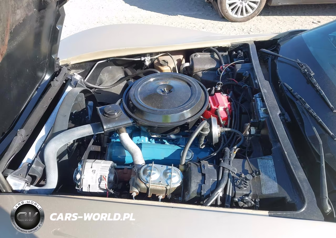 1978 Chevrolet Corvette VIN:1Z87L8S409474 - 10