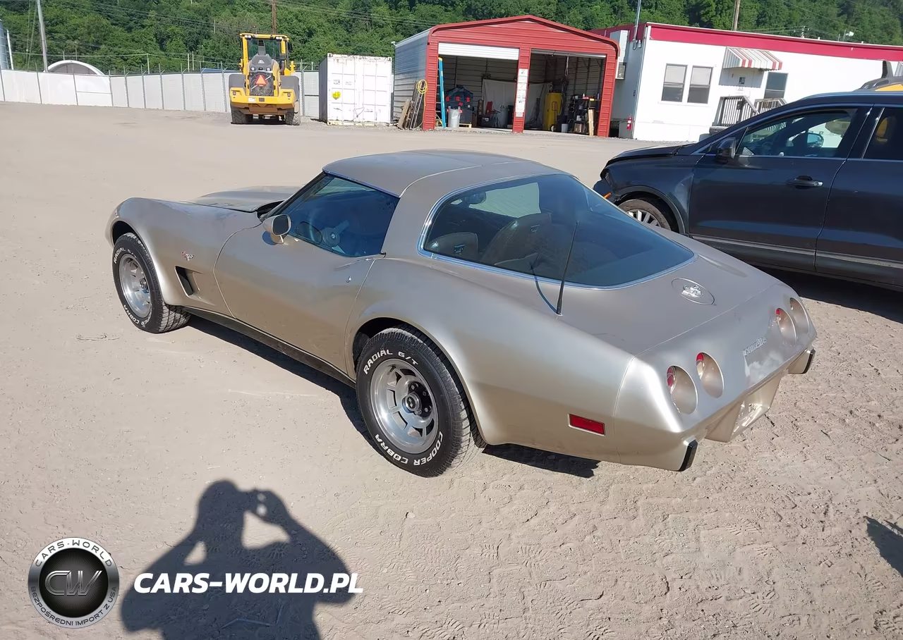 1978 Chevrolet Corvette VIN:1Z87L8S409474 - 3