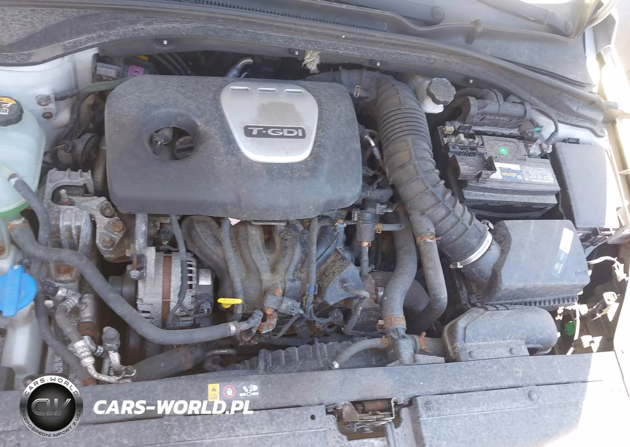 2018 Hyundai Elantra Gt Sport VIN:KMHH55LC0JU036686 - 10
