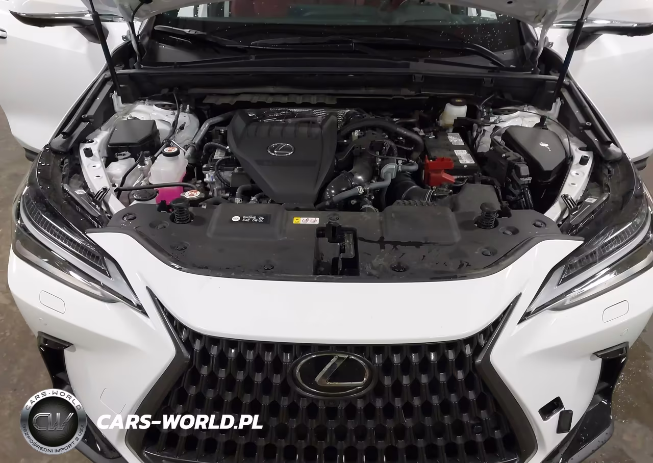 2026 Lexus Nx 350 Luxury VIN:2T2HGCEZ5TC107297 - 10