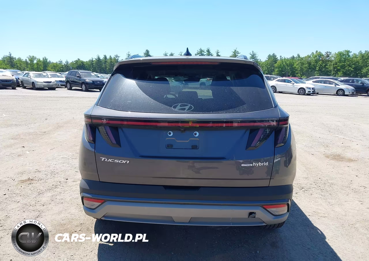 2025 Hyundai Tucson Hybrid Limited VIN:KM8JEDD19SU264261 - 17