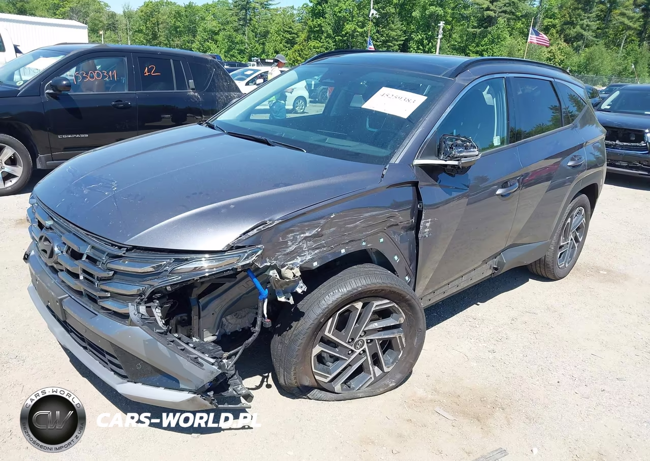 2025 Hyundai Tucson Hybrid Limited VIN:KM8JEDD19SU264261 - 2