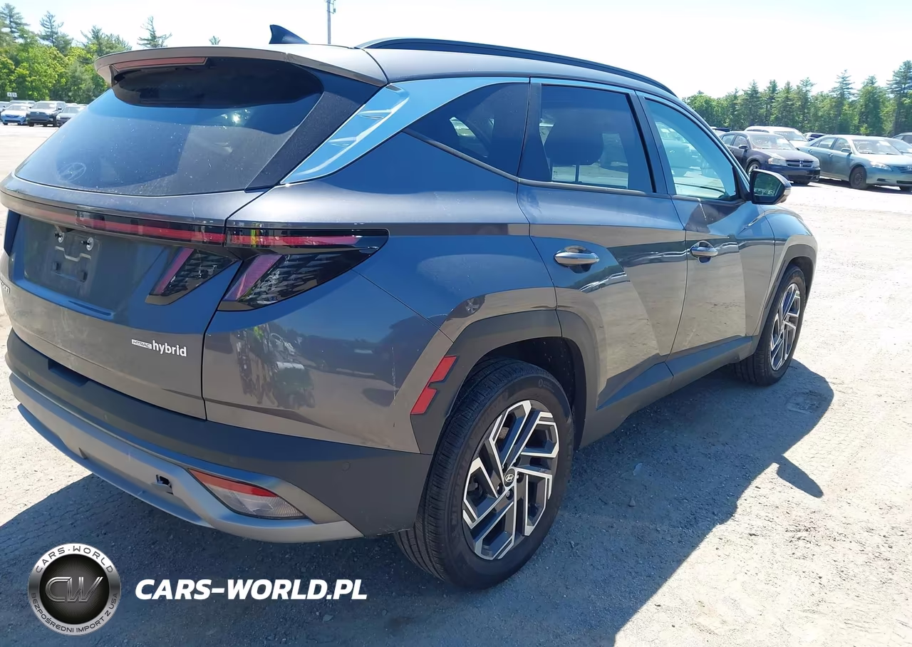 2025 Hyundai Tucson Hybrid Limited VIN:KM8JEDD19SU264261 - 4