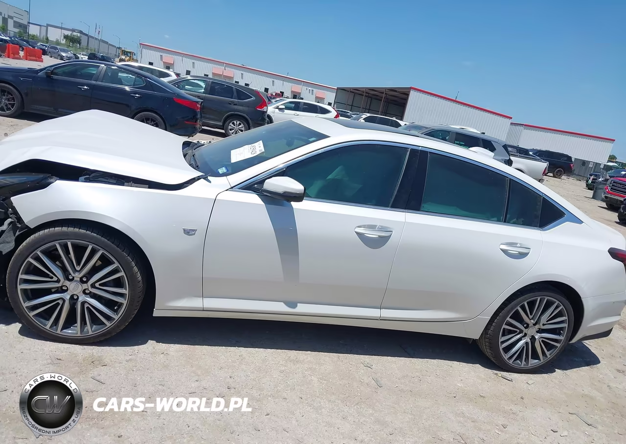 2025 Cadillac Ct5 Premium Luxury Rwd VIN:1G6DN5RW8S0101770 - 13