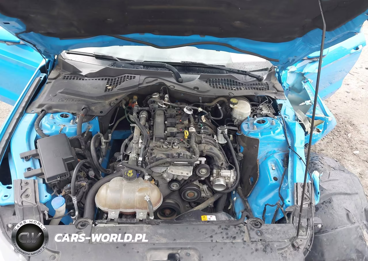 2017 Ford Mustang Ecoboost VIN:1FA6P8TH4H5209624 - 10