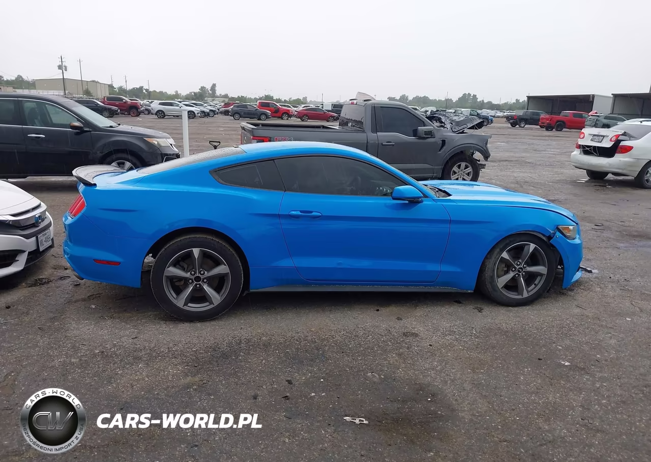 2017 Ford Mustang Ecoboost VIN:1FA6P8TH4H5209624 - 13