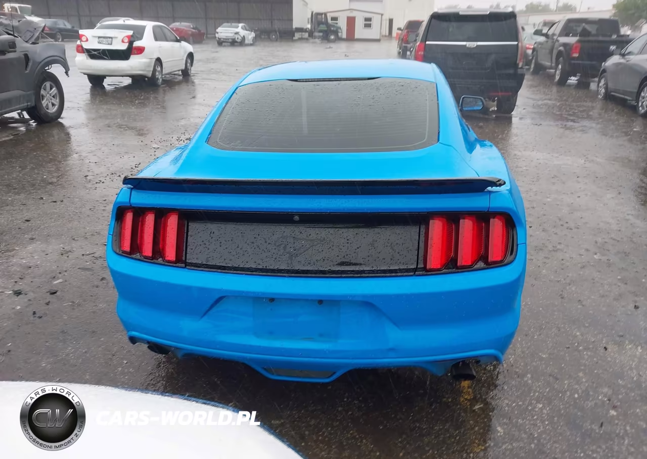 2017 Ford Mustang Ecoboost VIN:1FA6P8TH4H5209624 - 16