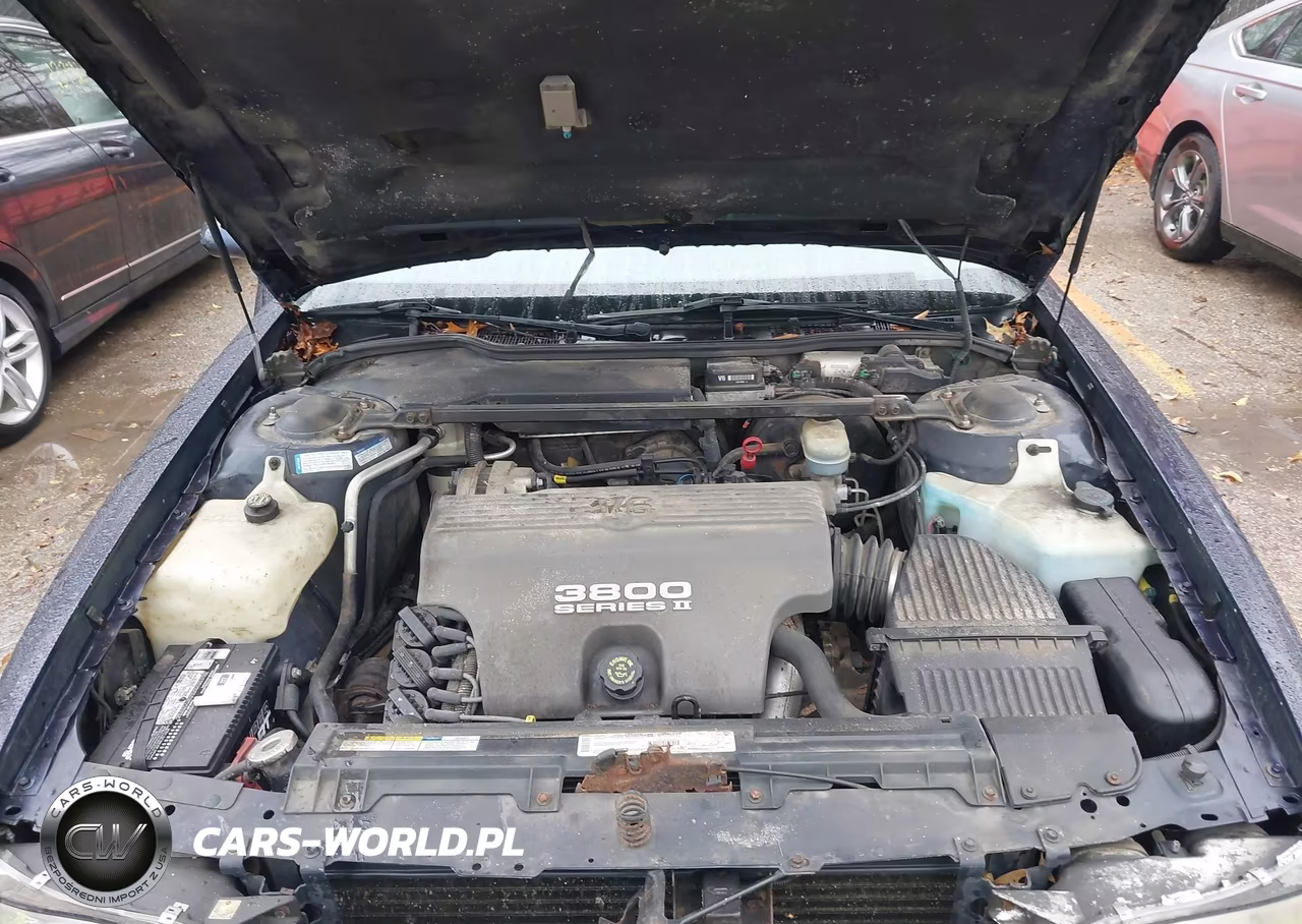 1999 Buick Lesabre Custom VIN:1G4HP52K5XH465245 - 10