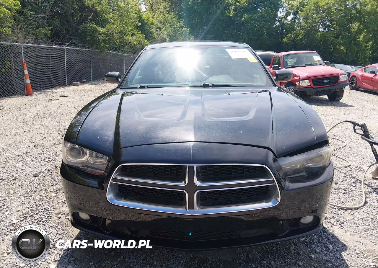 2014 Dodge Charger R-T VIN:2C3CDXDTXEH346840 - 12