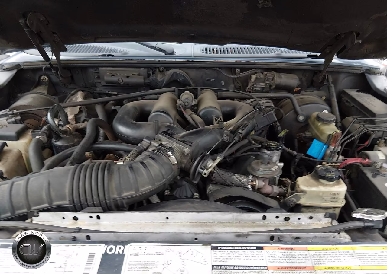 1999 Ford Explorer Eddie Bauer-Limited-Xlt VIN:1FMZU34E6XZB91461 - 10