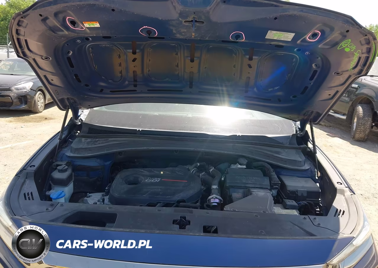 2020 Hyundai Santa Fe Limited 2.0T VIN:5NMS53AA1LH147385 - 10