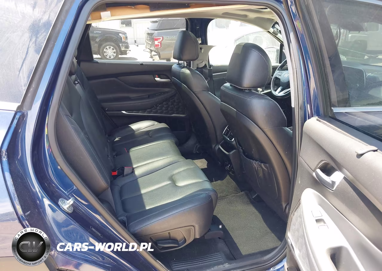 2020 Hyundai Santa Fe Limited 2.0T VIN:5NMS53AA1LH147385 - 8