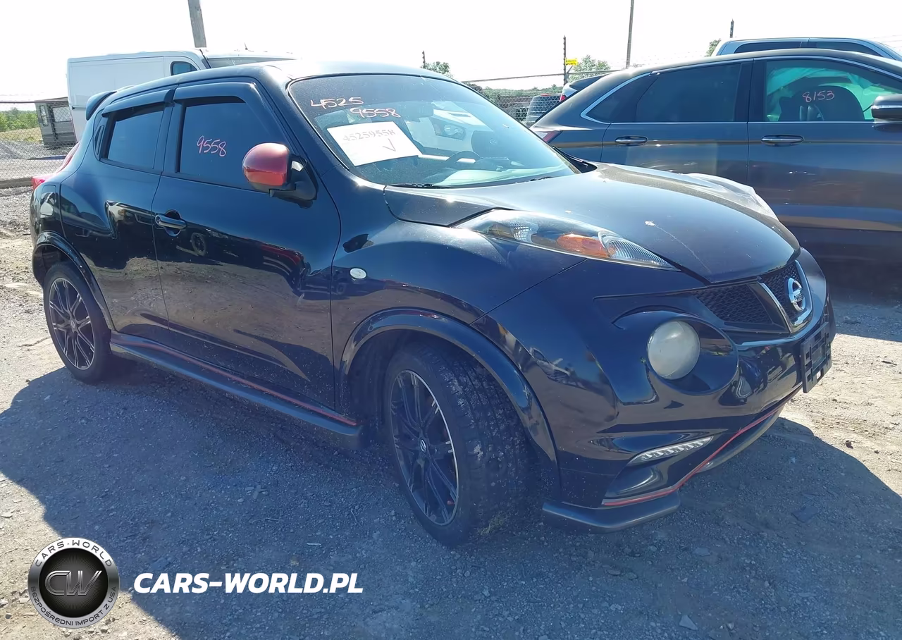 2014 Nissan Juke Nismo