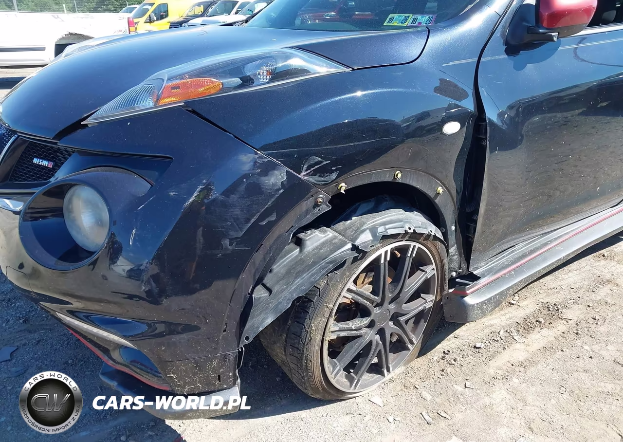 2014 Nissan Juke Nismo VIN:JN8AF5MR3ET362925 - 6