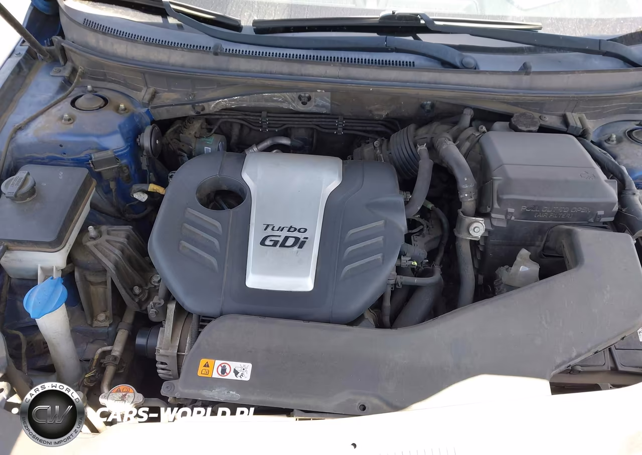 2016 Hyundai Sonata Eco VIN:5NPE24AA4GH423076 - 10