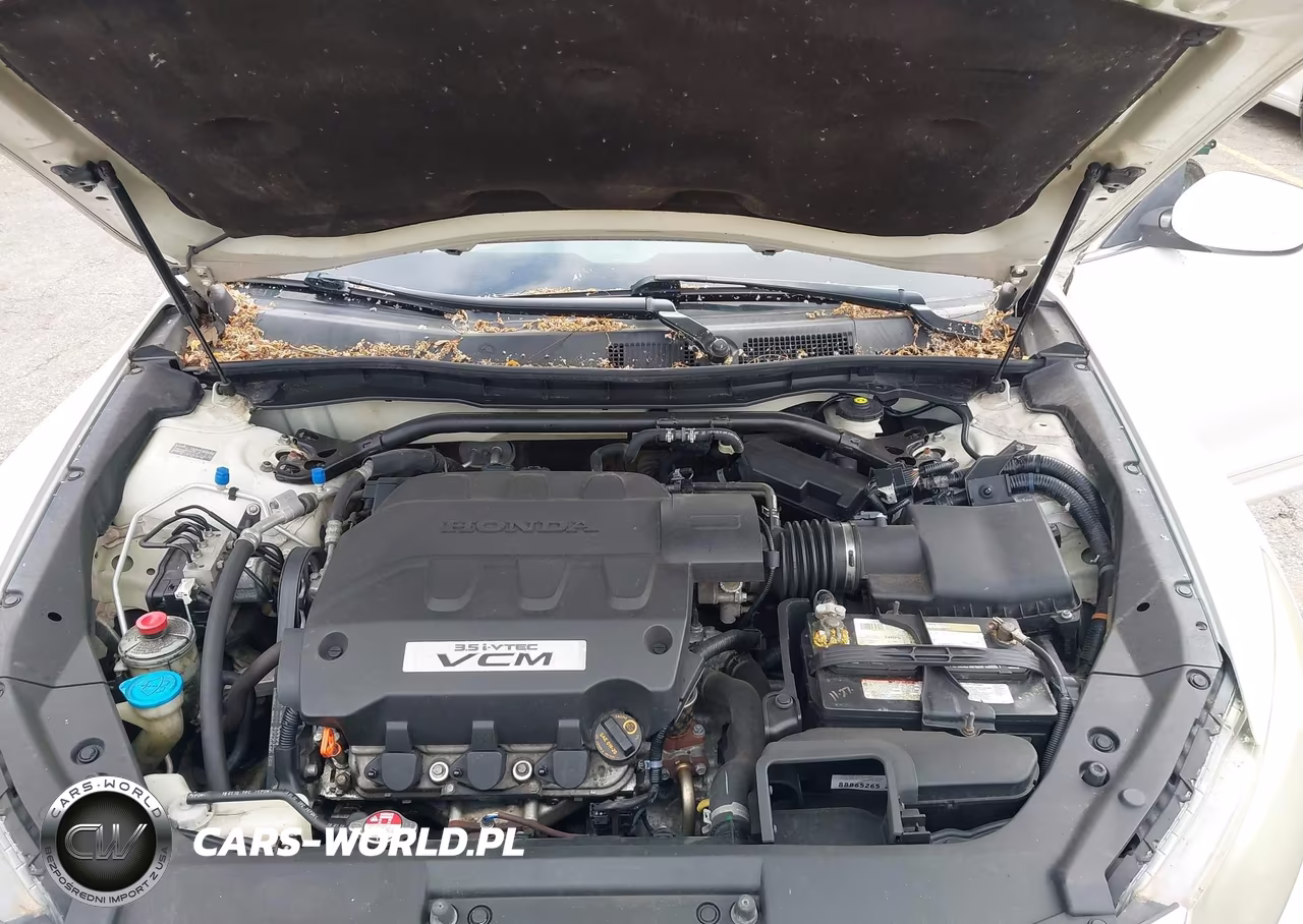 2010 Honda Accord Crosstour Ex-L VIN:5J6TF1H52AL012355 - 10