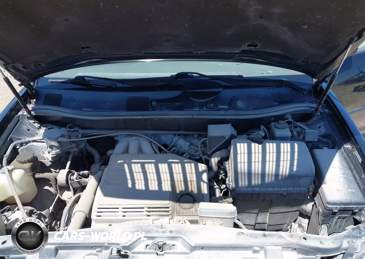1999 Lexus Rx 300 VIN:JT6HF10U0X0077107 - 10