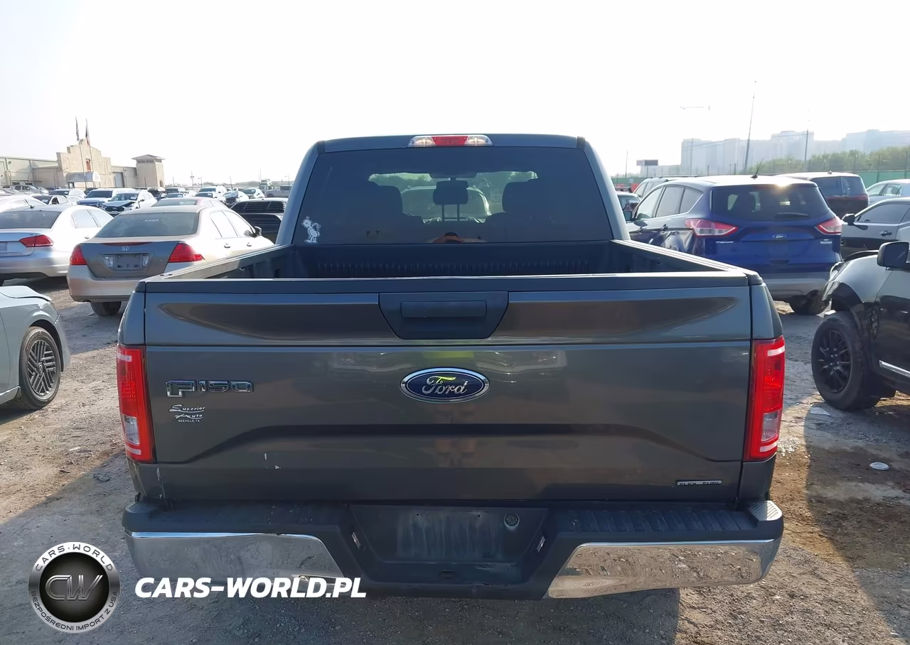 2016 Ford F-150 Xlt VIN:1FTEW1CF3GKE05603 - 16