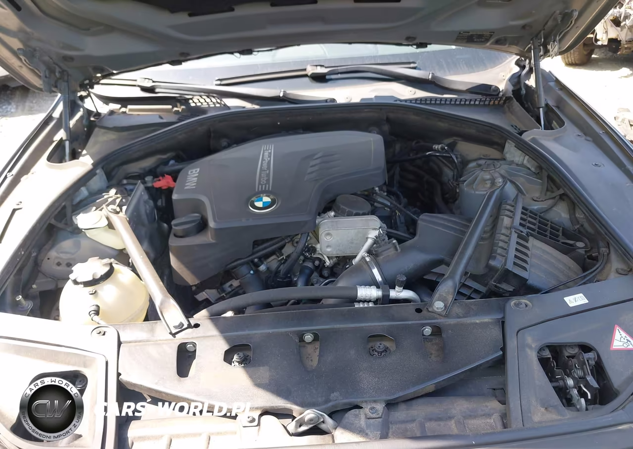 2014 BMW 528I xDrive VIN:WBA5A7C54ED617417 - 10