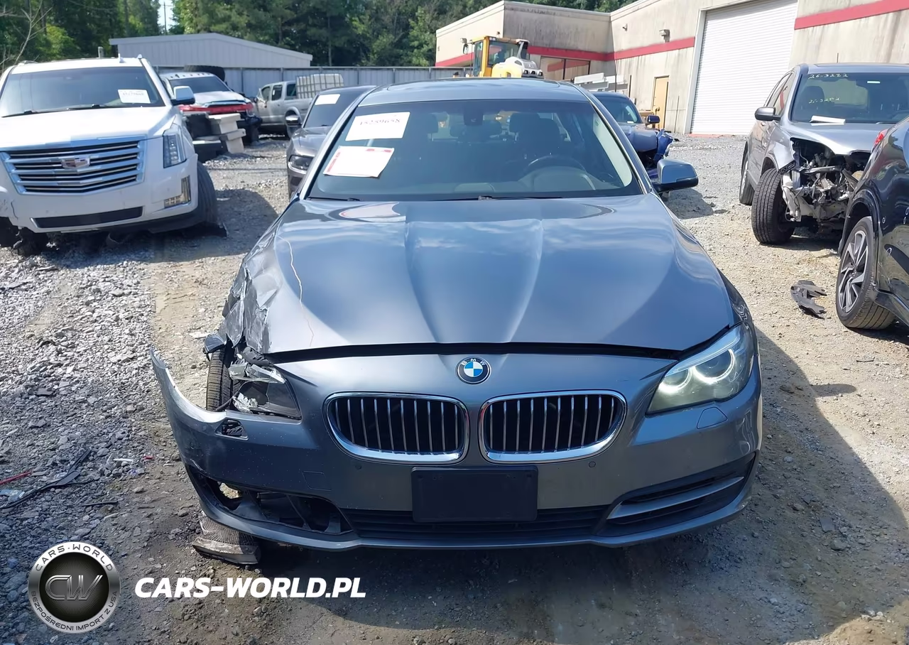2014 BMW 528I xDrive VIN:WBA5A7C54ED617417 - 12