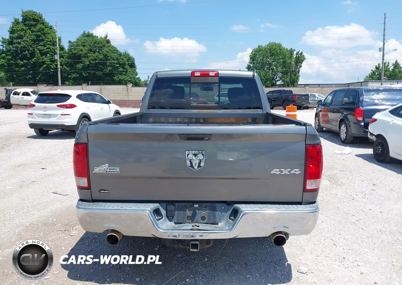 2010 Dodge Ram 1500 Slt-Sport-Trx VIN:1D7RV1GT8AS152232 - 16