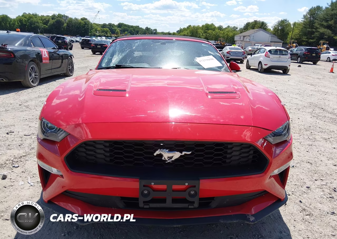 2020 Ford Mustang Ecoboost Premium VIN:1FATP8UH9L5113093 - 13