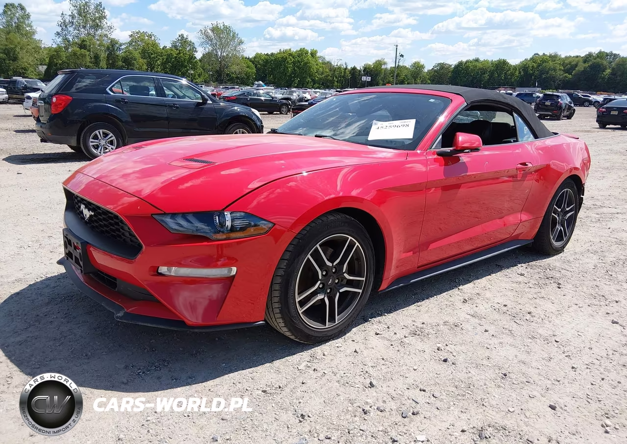 2020 Ford Mustang Ecoboost Premium VIN:1FATP8UH9L5113093 - 2