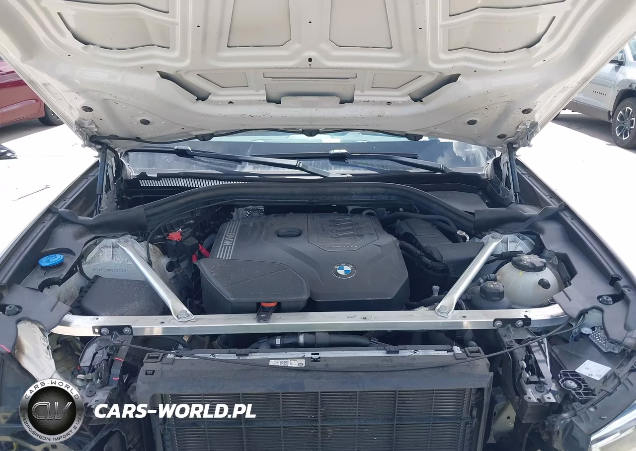 2023 BMW X4 xDrive30I VIN:5UX33DT01P9S64274 - 10