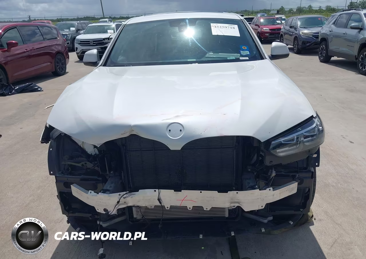 2023 BMW X4 xDrive30I VIN:5UX33DT01P9S64274 - 12