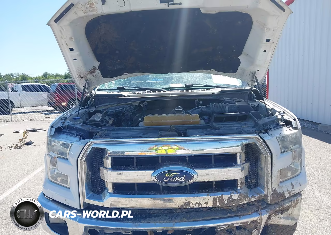 2016 Ford F-150 Xlt VIN:1FTFW1EF0GKE56641 - 10