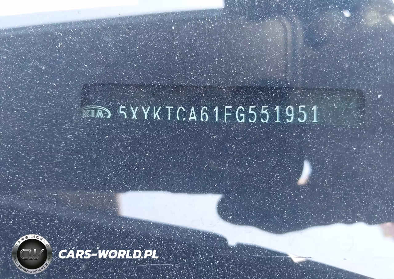 2015 Kia Sorento Lx VIN:5XYKTCA61FG551951 - 13