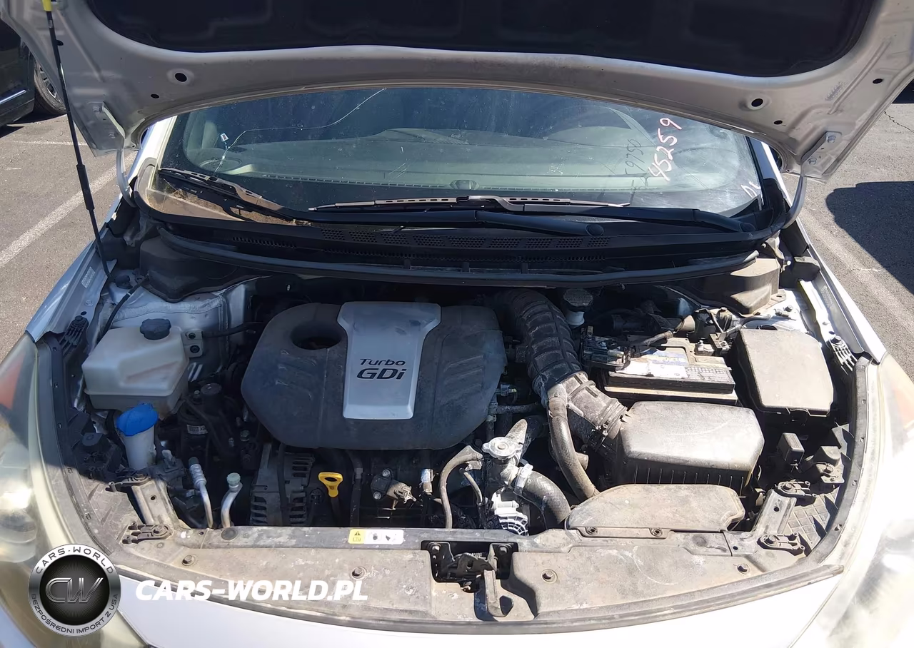 2015 Kia Forte Sx VIN:KNAFZ5A38F5396502 - 10