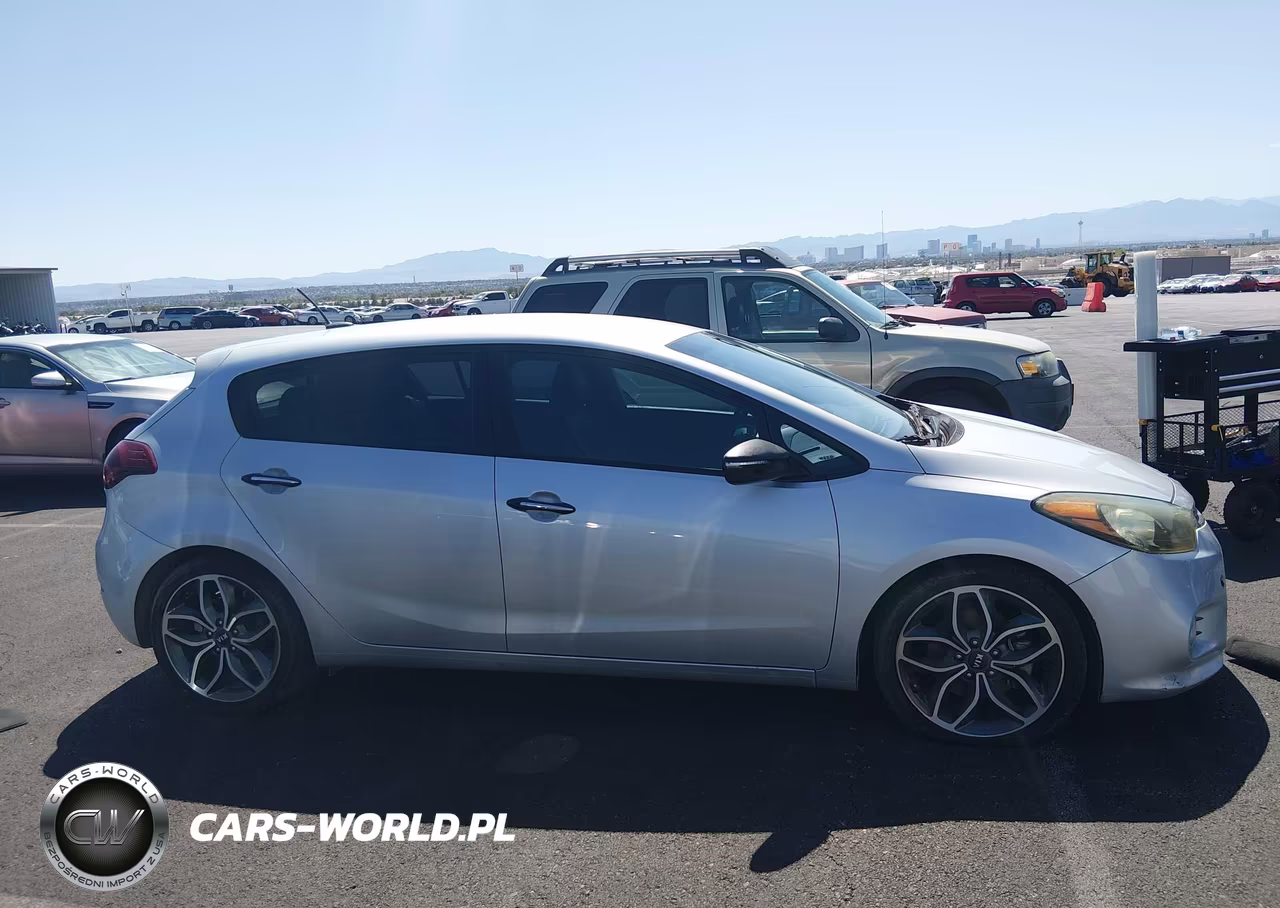 2015 Kia Forte Sx VIN:KNAFZ5A38F5396502 - 13