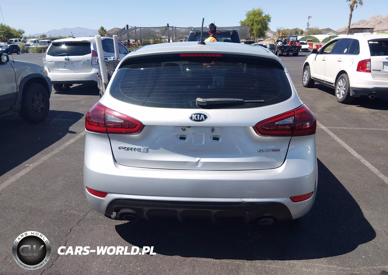 2015 Kia Forte Sx VIN:KNAFZ5A38F5396502 - 16