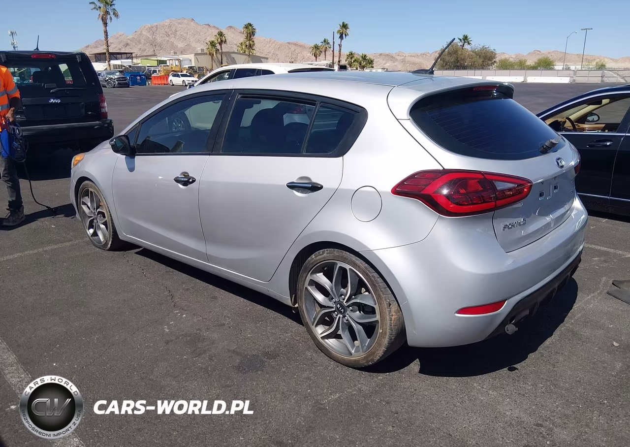 2015 Kia Forte Sx VIN:KNAFZ5A38F5396502 - 3