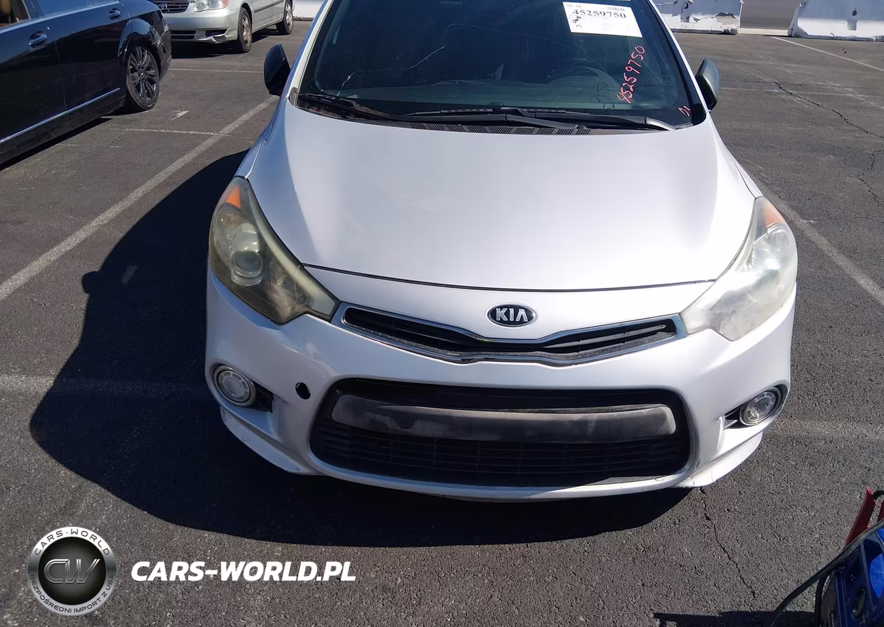 2015 Kia Forte Sx VIN:KNAFZ5A38F5396502 - 6