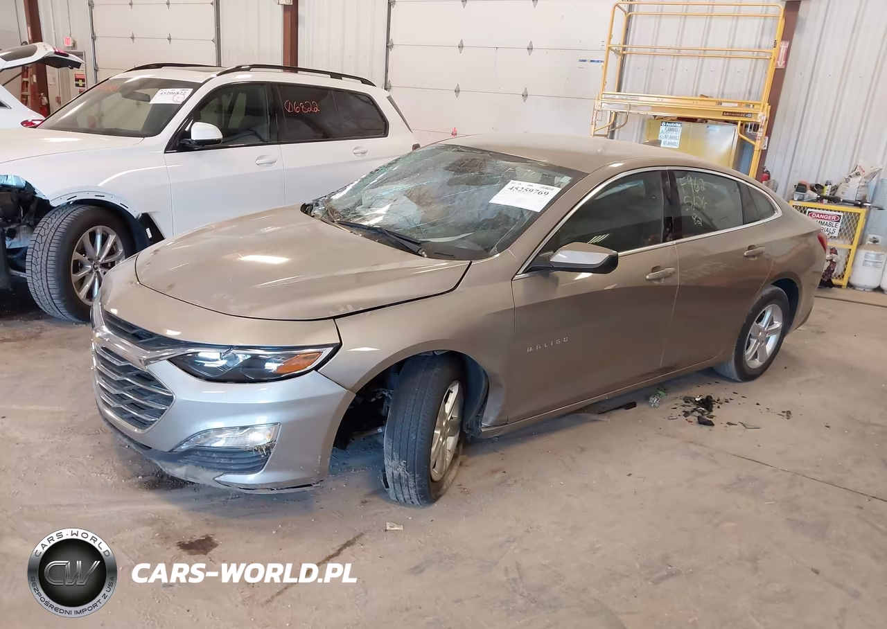 2024 Chevrolet Malibu Fwd 1Lt VIN:1G1ZD5ST5RF206336 - 2