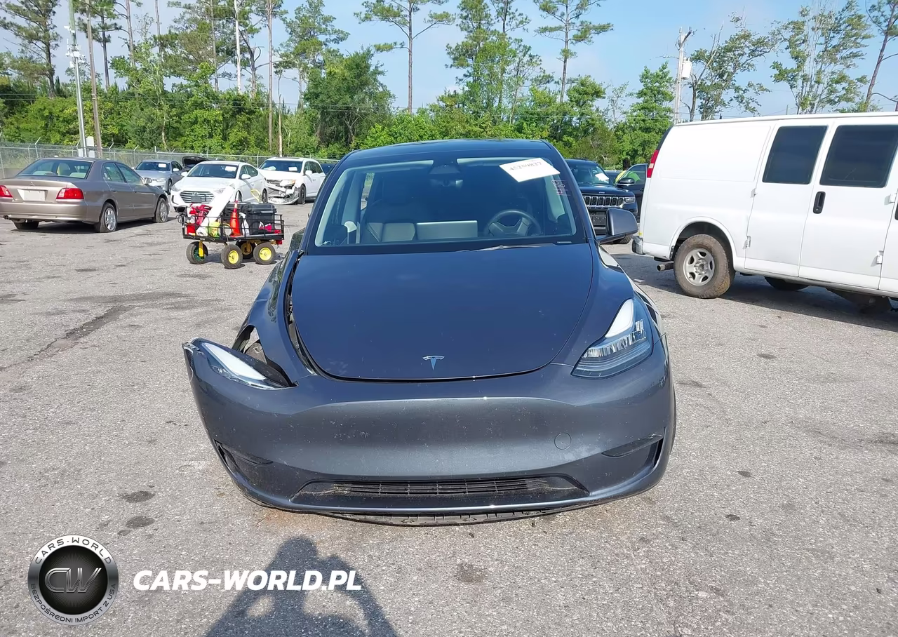 2023 Tesla Model Y VIN:7SAYGDEE9PA032855 - 12
