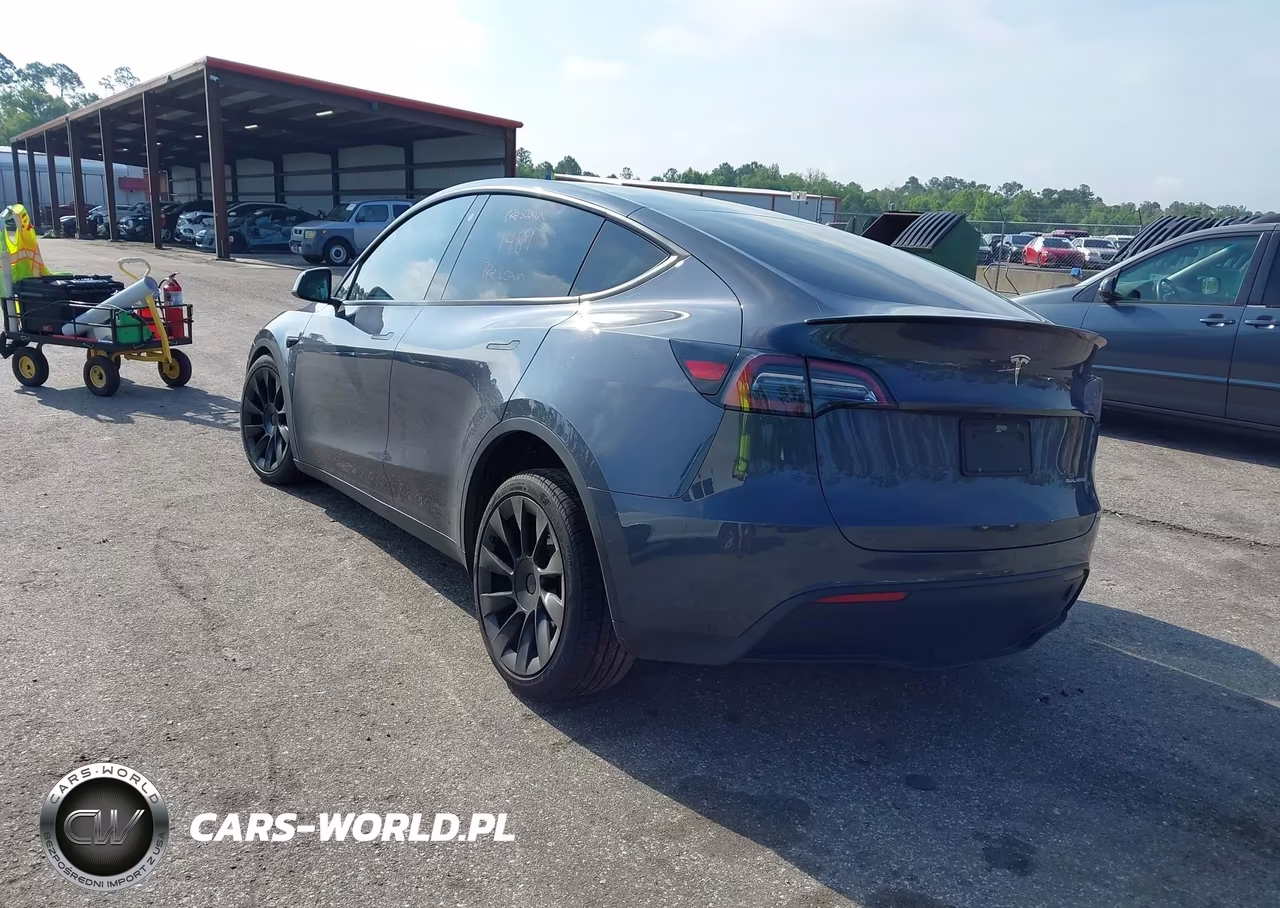 2023 Tesla Model Y VIN:7SAYGDEE9PA032855 - 3