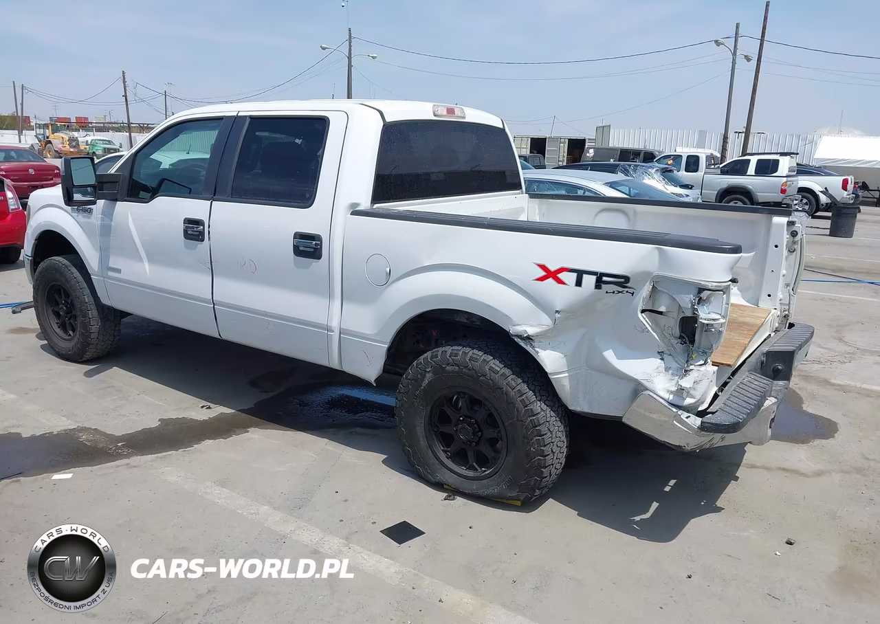 2013 Ford F-150 Xlt VIN:1FTFW1ETXDFC44114 - 3
