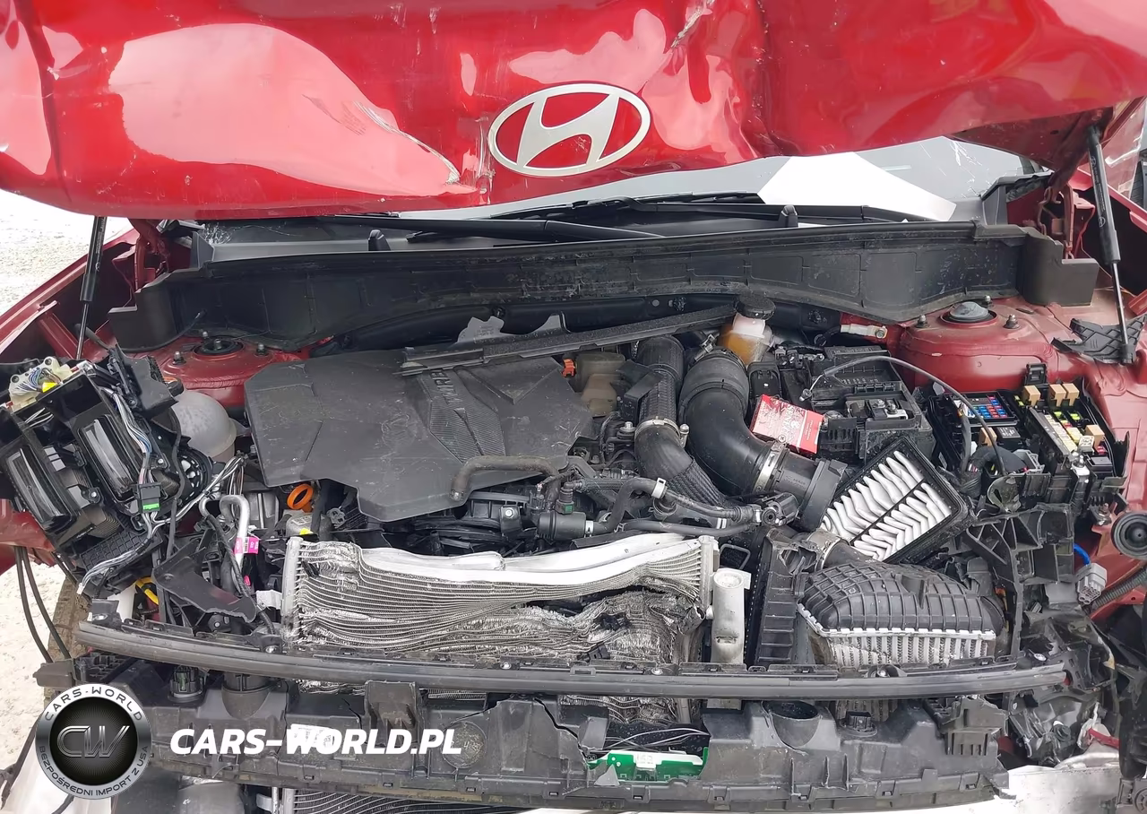 2025 Hyundai Santa Fe Sel VIN:5NMP24GL2SH085295 - 10
