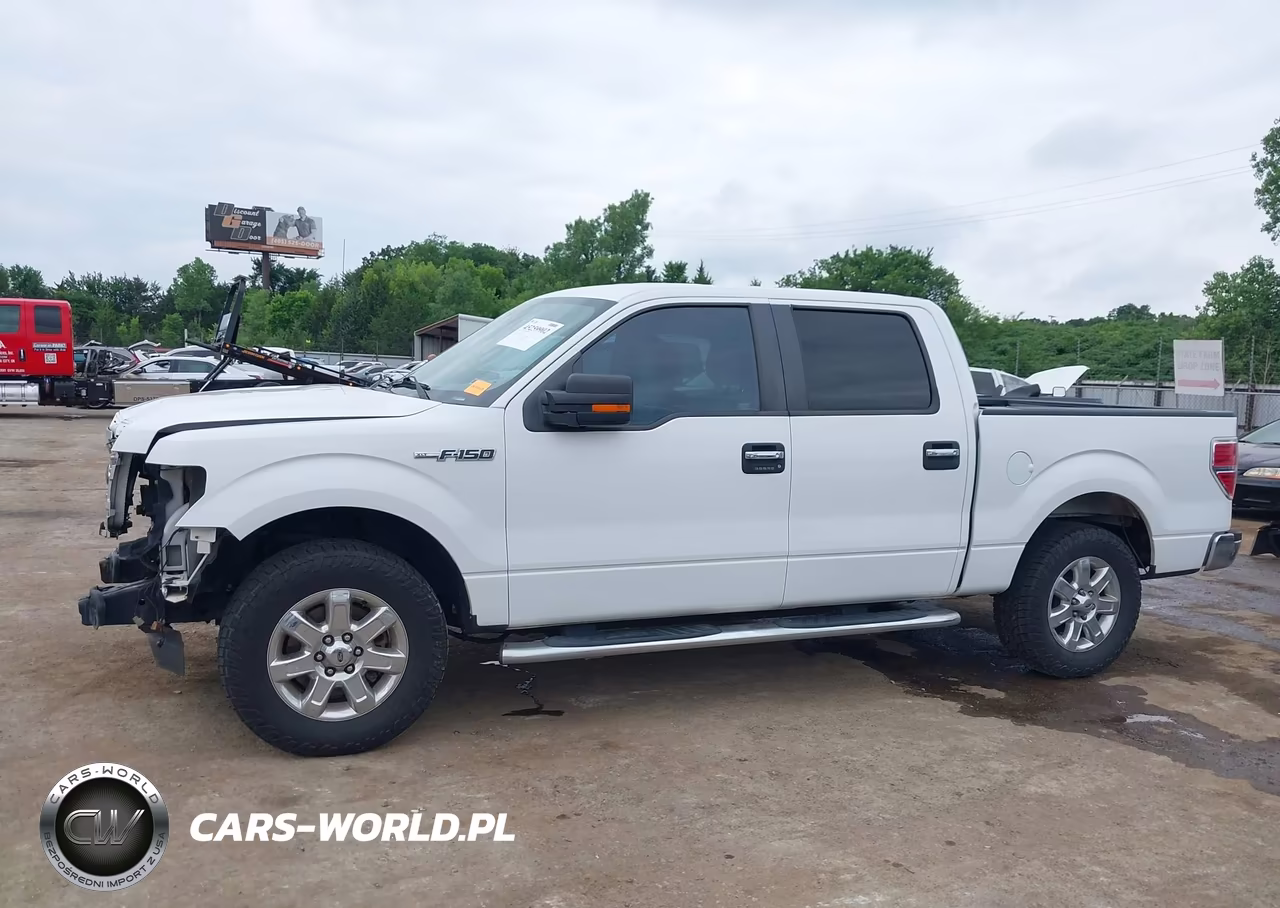 2014 Ford F150 Supercrew VIN:1FTEW1CM8EKD30277 - 15