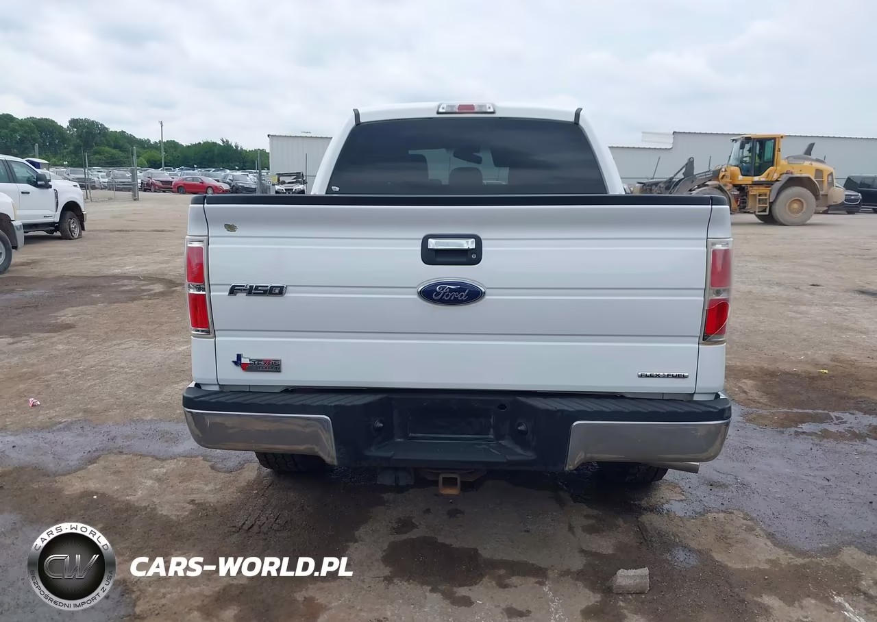 2014 Ford F150 Supercrew VIN:1FTEW1CM8EKD30277 - 17