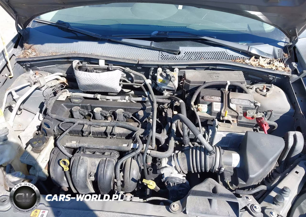 2010 Ford Focus Ses VIN:1FAHP3GN0AW222799 - 10