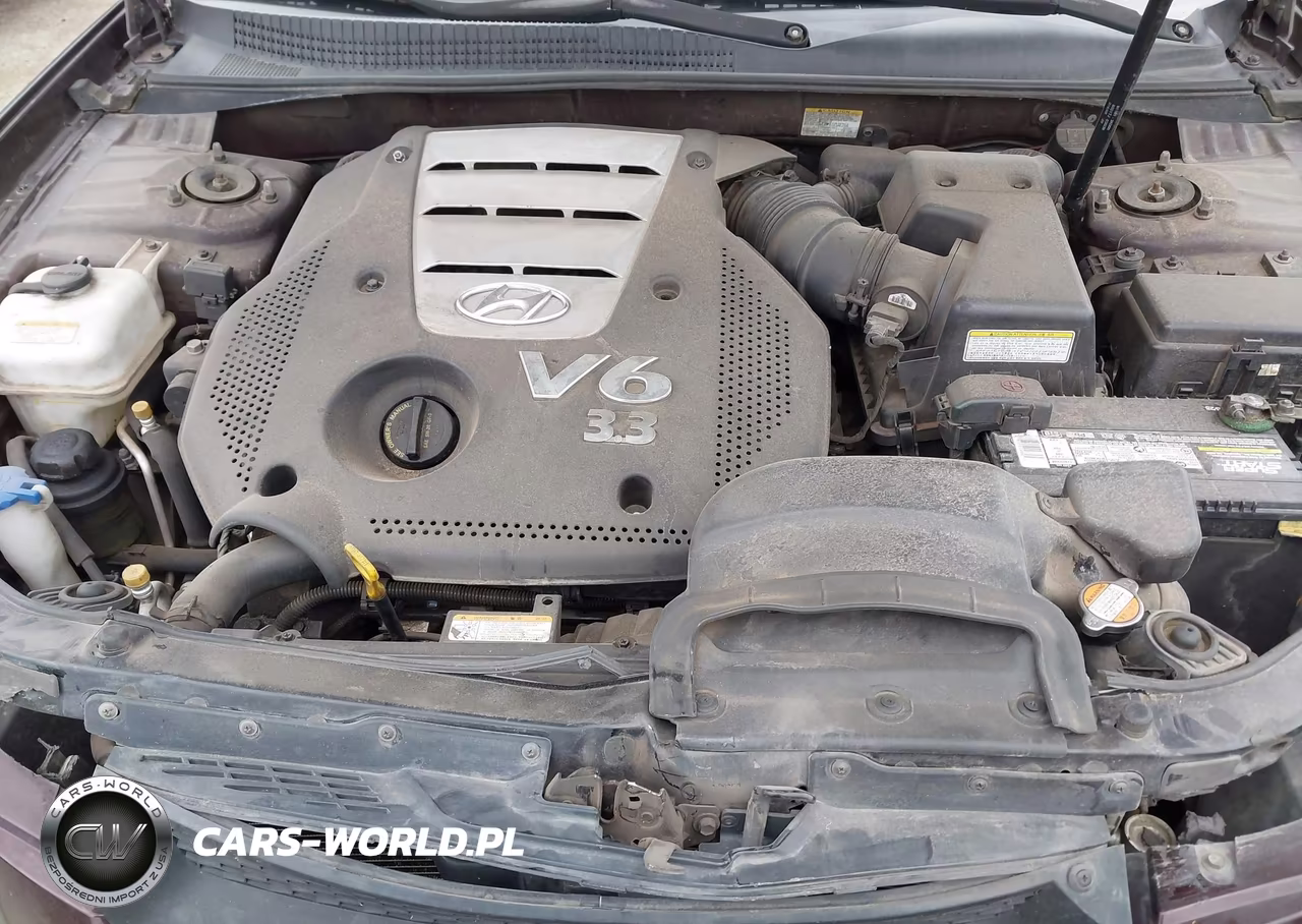 2006 Hyundai Sonata Gls V6-Lx V6 VIN:5NPEU46F16H117188 - 10