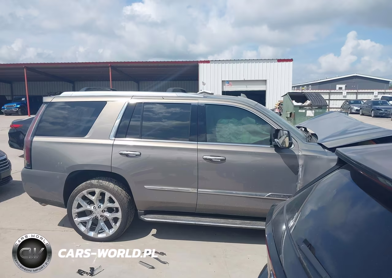 2017 Cadillac Escalade Luxury VIN:1GYS4BKJ7HR163325 - 14