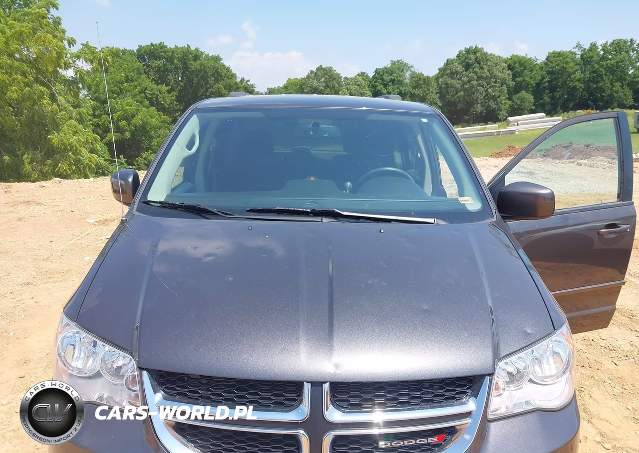2016 Dodge Grand Caravan Sxt VIN:2C4RDGCG5GR132023 - 6